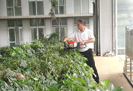 綠(lv)化(hua)養(yǎng)(yang)護(hù)服(fu)務(wù)