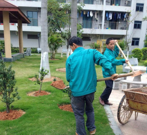 綠化養(yǎng)(yang)護