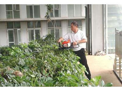 綠化(hua)養(yǎng)護(hù)(hu)服務(wù)(wu)